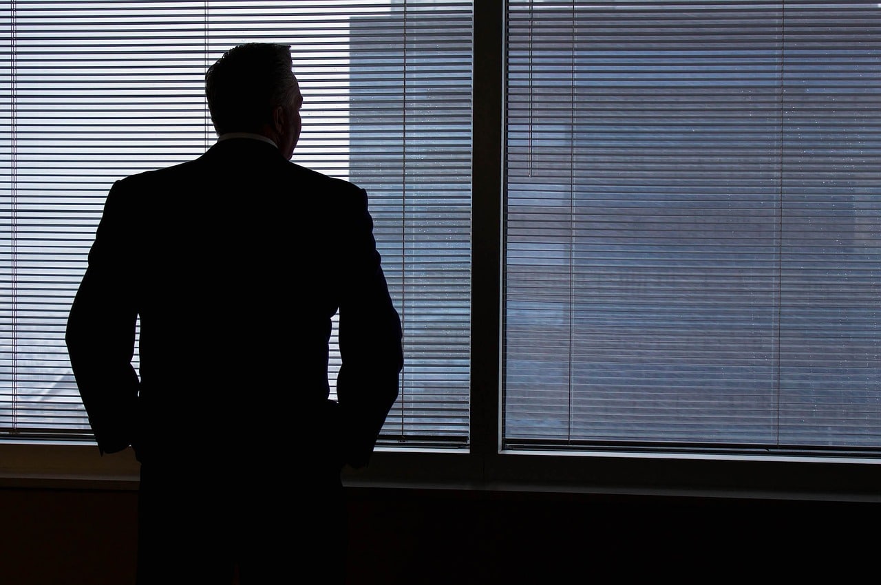 picture of a professional standing at a window